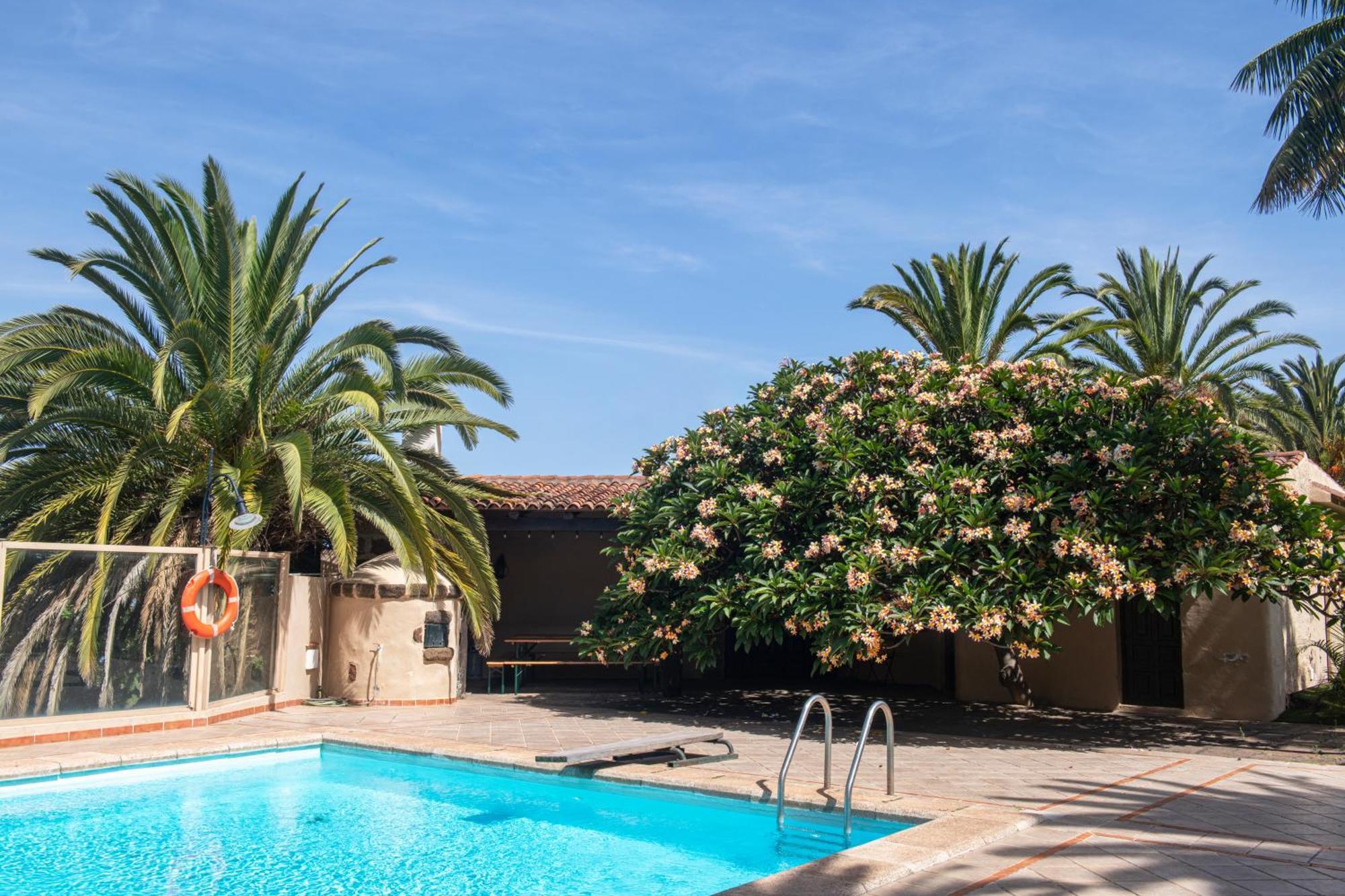 San Diego With Pool & Wifi La Matanza De Acentejo